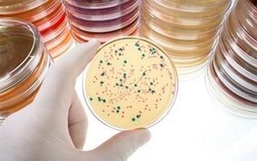 Parasitäre Krankheitsdiagnose